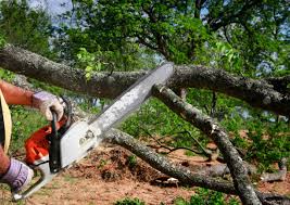 Best Soil Testing and Treatment  in Harriman, NY